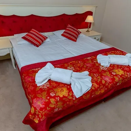 酒店 Resovia Residence Hotel*** 热舒夫