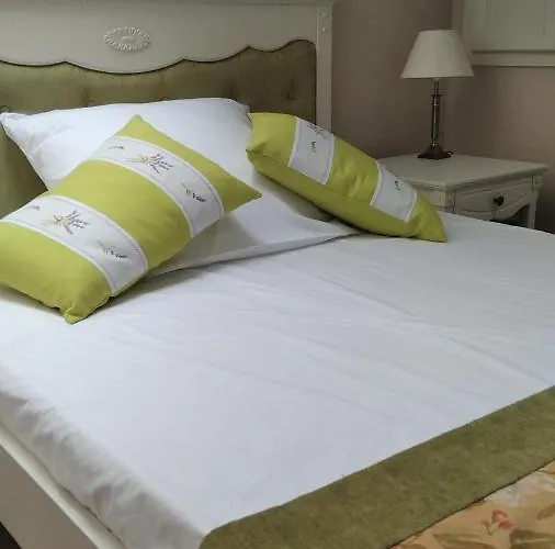 Resovia Residence Hotel*** رشيشوف